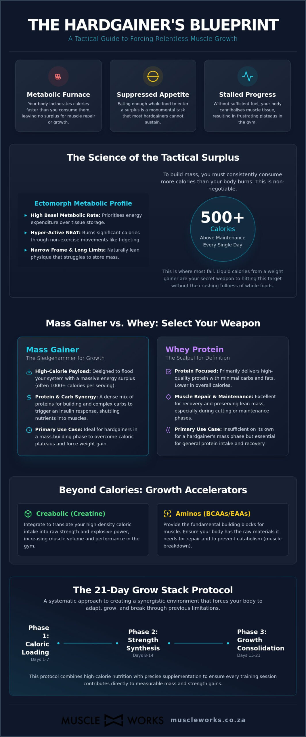 Supplements for Hardgainers South Africa: The Tactical Blueprint for Massive Growth