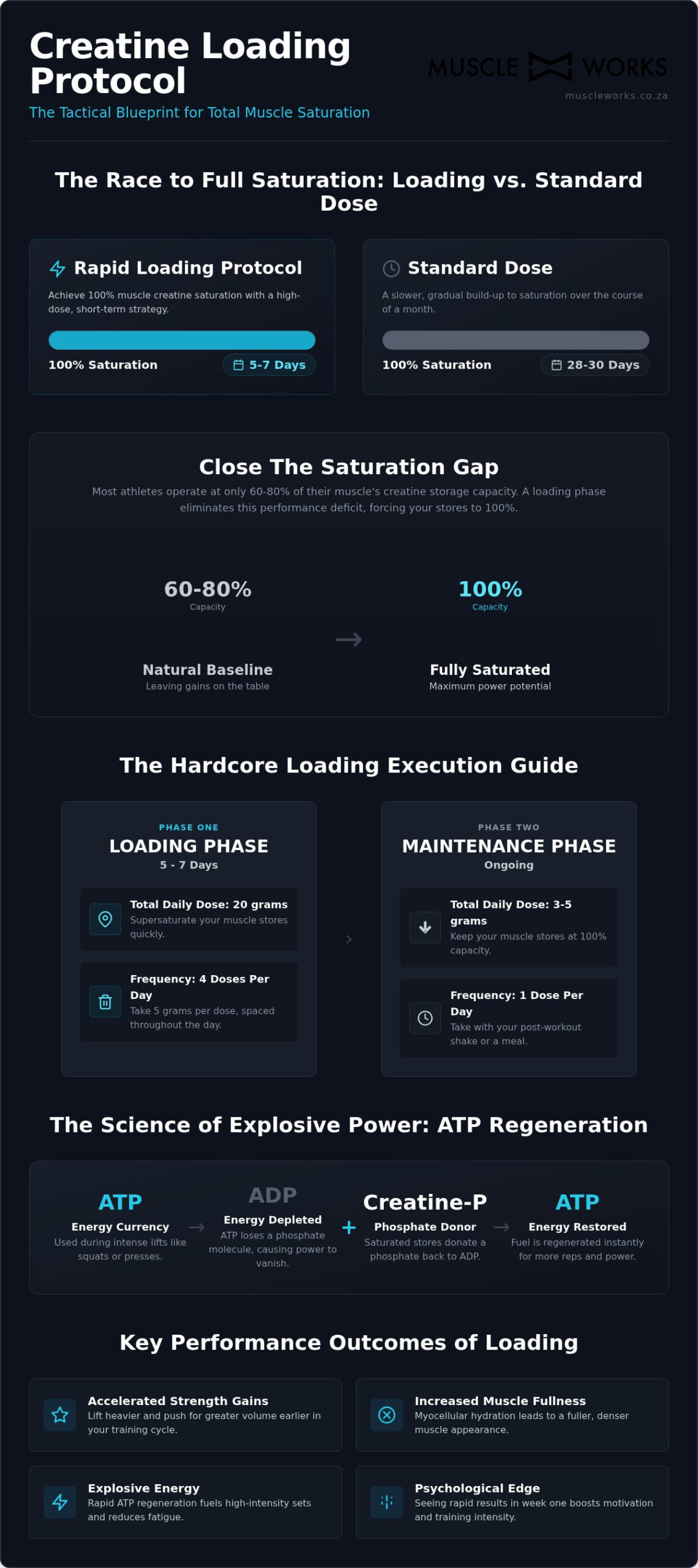 Creatine Loading Phase: The Tactical Blueprint for Explosive Power
