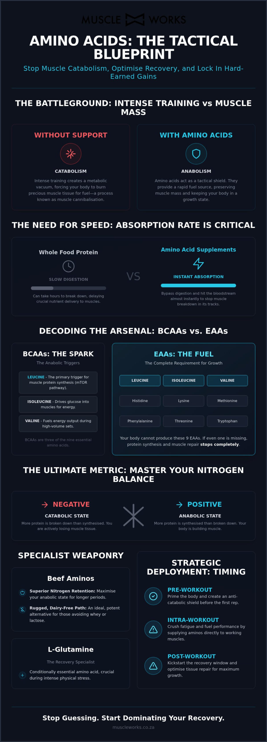 Amino Acid Supplements: The Tactical Blueprint for Defeating Muscle Breakdown
